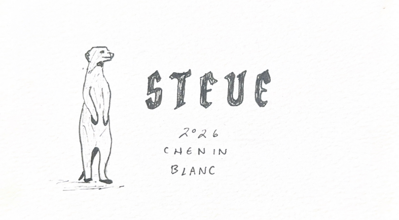 Steve Wine Logo - Meerkat